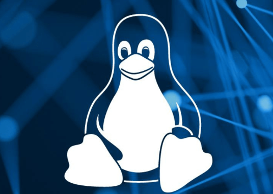 如何檢查遠程Linux系統上的開放端口？.png